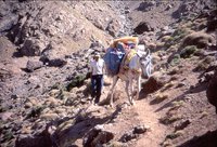 Descente du Tizi n'Tachedirt