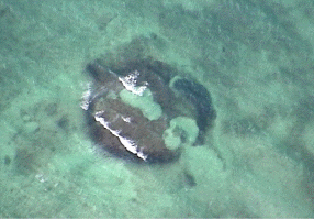 structure sous-marine de Bimini