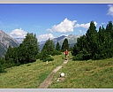 dscn4004.jpg