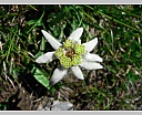 dscn4007.jpg