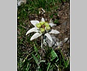 dscn4008.jpg