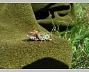 dscn4012.jpg
