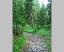 dscn4039.jpg