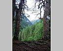 dscn4041.jpg