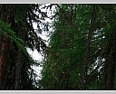 dscn4046.jpg