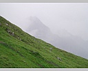 dscn4070.jpg