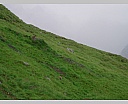 dscn4074.jpg