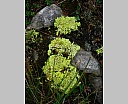dscn4083.jpg