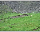 dscn4098.jpg