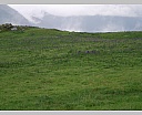 dscn4101.jpg