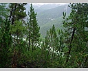 dscn4103.jpg