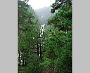 dscn4107.jpg
