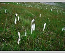 dscn4122.jpg