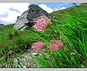 dscn4126.jpg