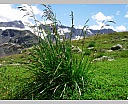 dscn4138.jpg