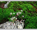 dscn4144.jpg
