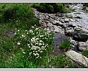 dscn4148.jpg