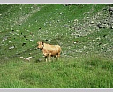 dscn4154.jpg
