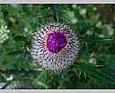 dscn4165.jpg