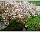 dscn4168.jpg