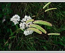 dscn4208.jpg