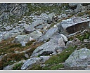 dscn4400.jpg