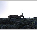 dscn4402.jpg