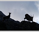 dscn4403.jpg