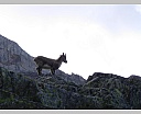 dscn4405.jpg