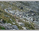 dscn4409.jpg