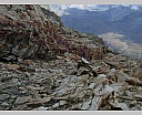 dscn4412.jpg