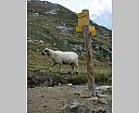 dscn4421.jpg