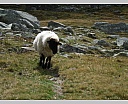 dscn4422.jpg