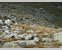 Pour agrandir cliquer sur la vignette dscn4431.jpg