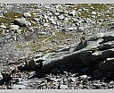dscn4454.jpg