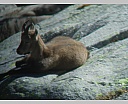 dscn4457.jpg