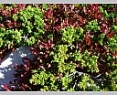 dscn4467.jpg