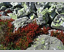 dscn4470.jpg