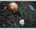 dscn4477.jpg
