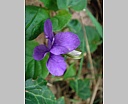 dsc00904.jpg