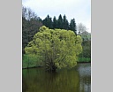 dsc00905.jpg