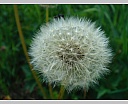dsc00912.jpg