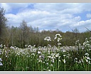 dsc00935.jpg