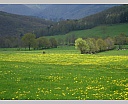 dsc00940.jpg