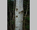 dscn2948.jpg