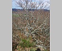 dscn2955.jpg