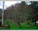 dscn2968.jpg