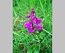 dscn3075.jpg