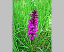 dscn3076.jpg