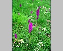 dscn3077.jpg